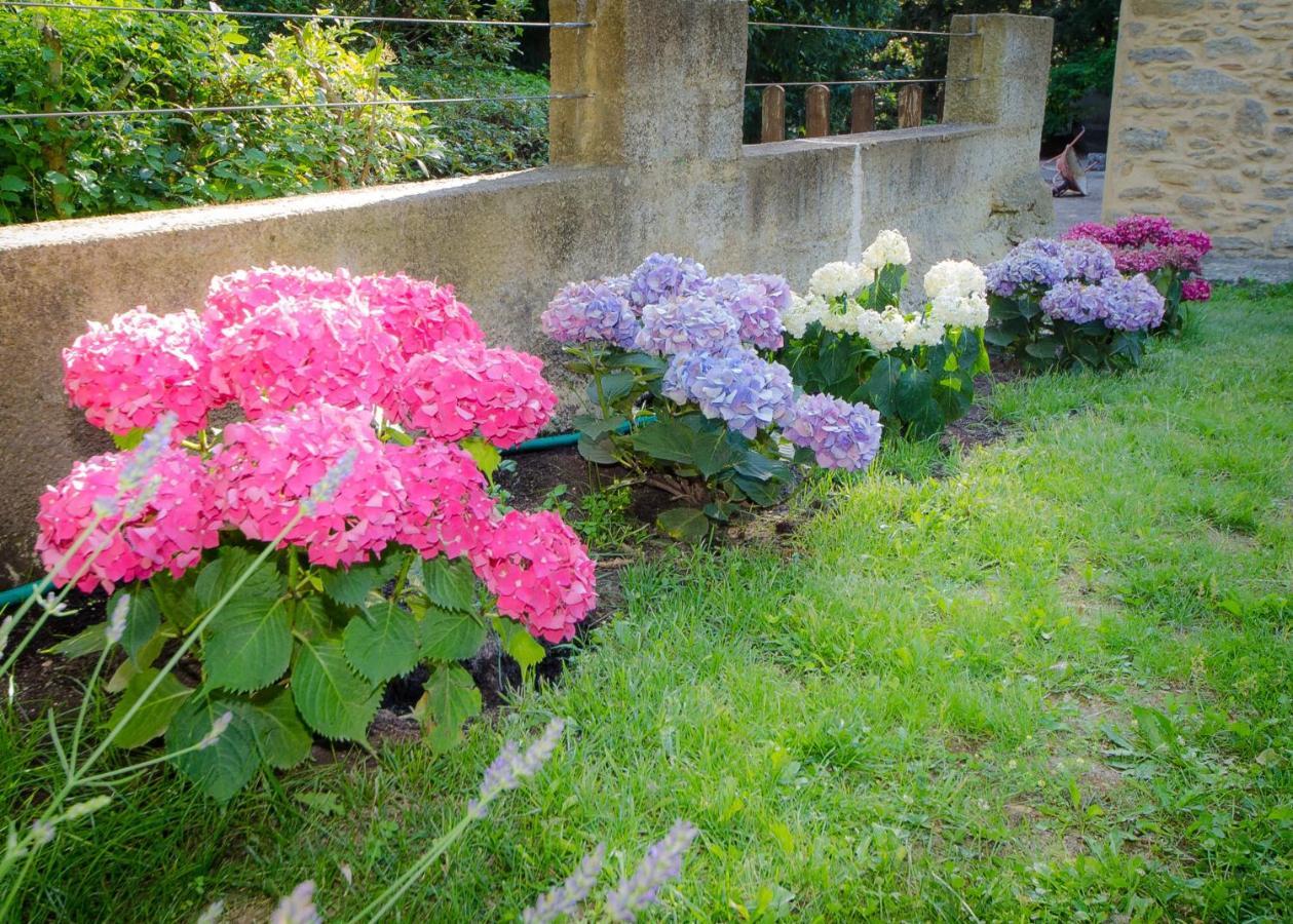 La Jourdane Bed & Breakfast Saint-Alexandre Стая снимка